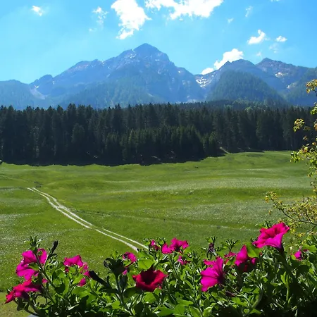 Bauernhof Ober Διαμέρισμα Birnbaum