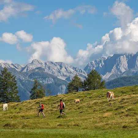 Bauernhof Ober בירנבאום