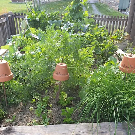 Bauernhof Ober דירה *