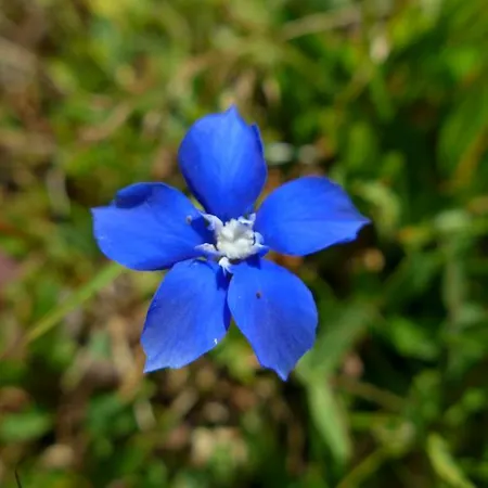 דירה Bauernhof Ober בירנבאום