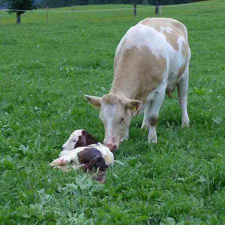 Bauernhof Ober * Birnbaum