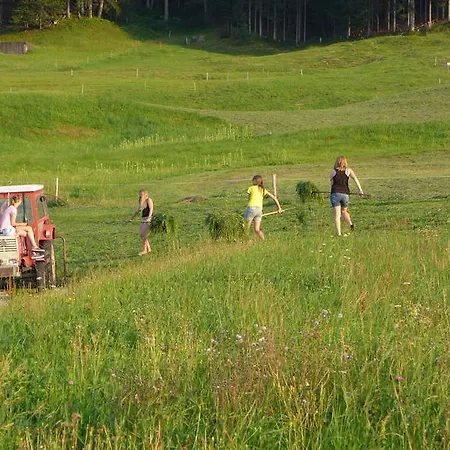 Bauernhof Ober דירה בירנבאום