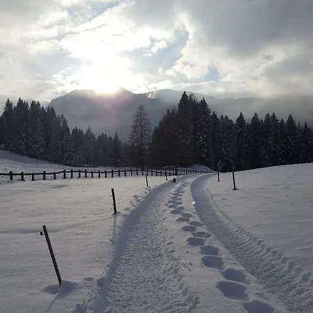 Bauernhof Ober Birnbaum