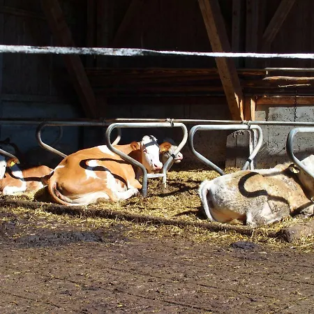 Bauernhof Ober Lägenhet