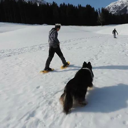 Bauernhof Ober Apartament *