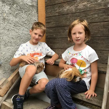 Bauernhof Ober Birnbaum