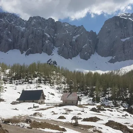 Bauernhof Ober בירנבאום