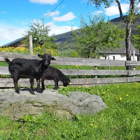Bauernhof Ober דירה *