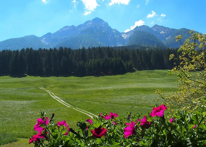 バウアーンホフ オーバー アパート ビルンバウム