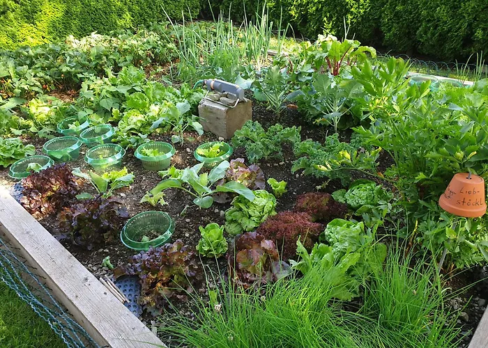 バウアーンホフ オーバー