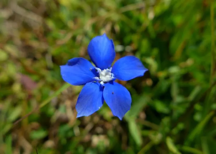 アパート バウアーンホフ オーバー ビルンバウム