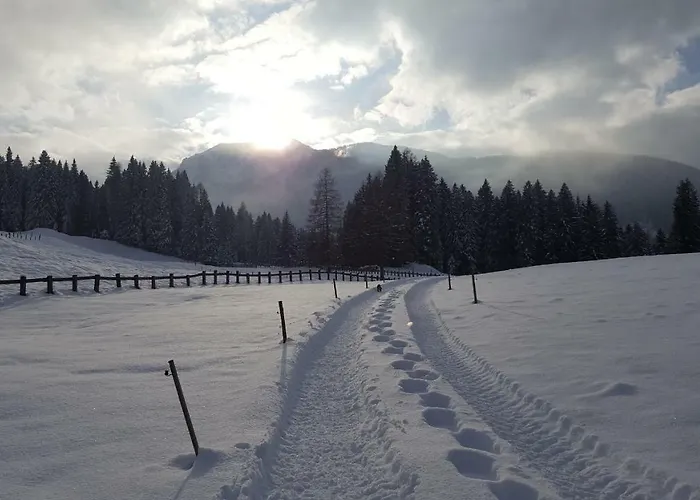 バウアーンホフ オーバー ビルンバウム