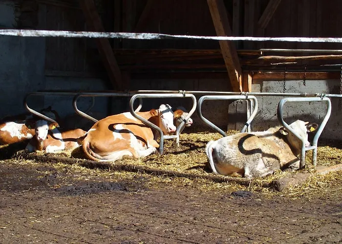 Bauernhof Ober Appartamento