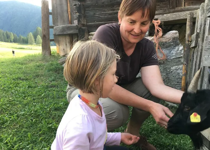 Bauernhof Ober Birnbaum